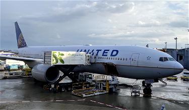 United Airlines Bans Emotional Support Animals