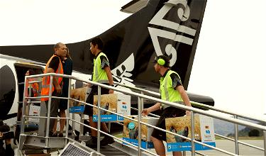 Air New Zealand’s New Conservation Safety Video