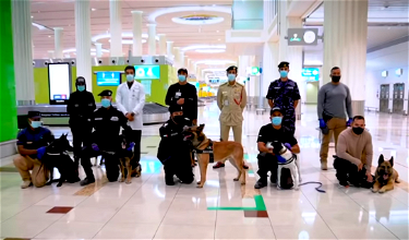 Dubai Airport Introduces Coronavirus-Sniffing Dogs