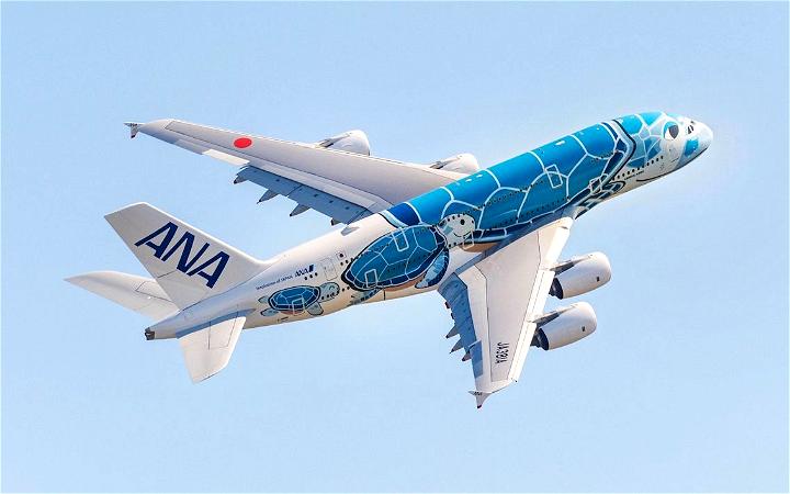 Facebook Group Charters A380 For Flight To Nowhere - One Mile at 