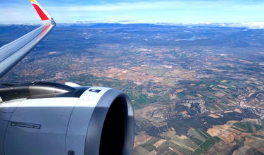 Eek: Tarantula Bites Iberia Pilot Mid-Flight, Manages To Escape