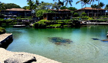 Which Southwest Business Credit Card Is Best?