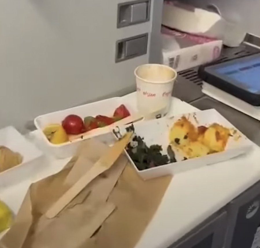 HORRIFYING: Snake Head Found In Airline Meal