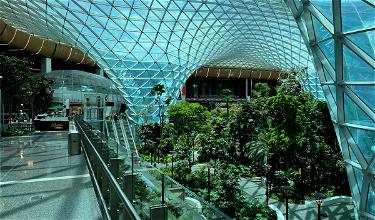 The Orchard, Doha Airport’s Indoor Tropical Garden