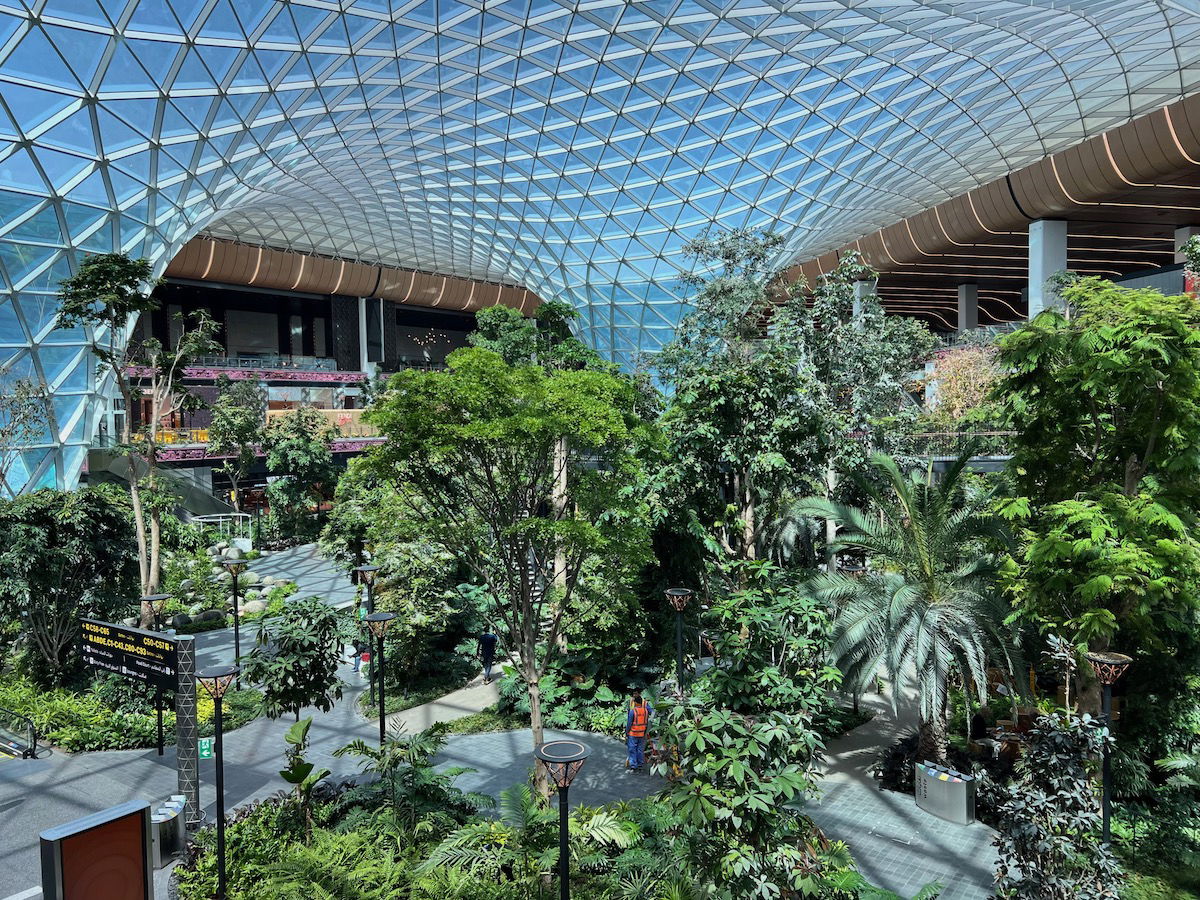 Hamad International Airport Becomes an Orchard