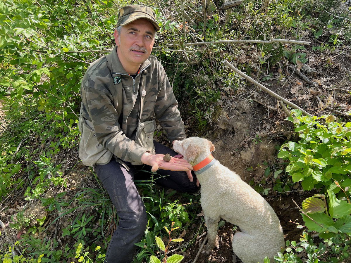 https://cdn.onemileatatime.com/wp-content/uploads/2023/06/Truffle-Hunting-Tuscany-12.jpeg