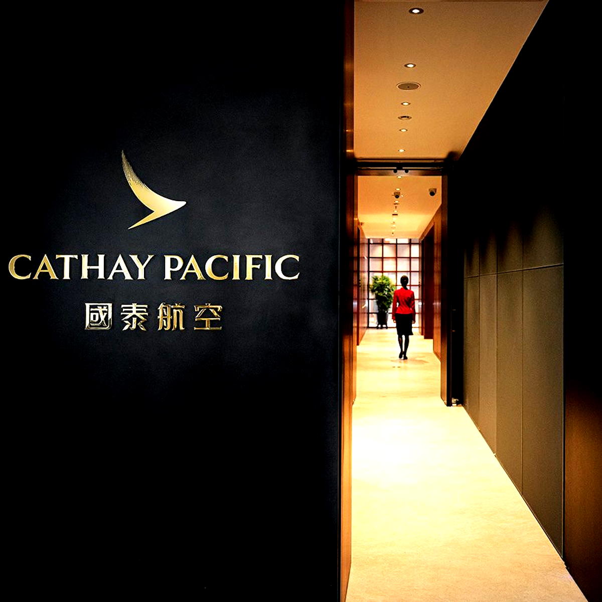 New Cathay Pacific Lounge At Shekou Ferry Terminal - One Mile at a Time