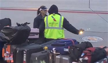 American Airlines Baggage Handling Hero Caught On Camera