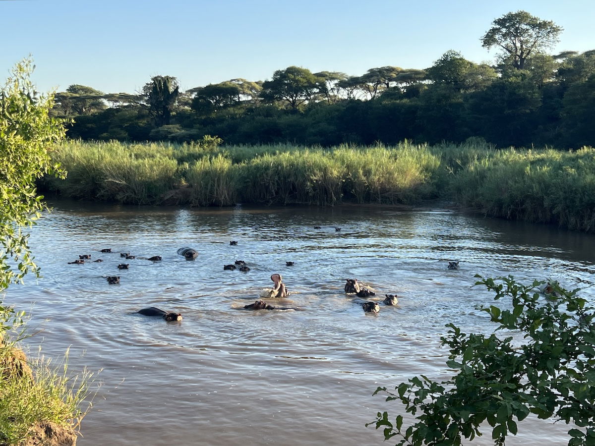 Introduction: Zimbabwe Through The Cockpit Suite