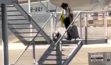 Caught On Camera: Cathay Pacific Worker Throws Bags Down Stairs