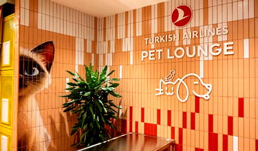 Woof: Turkish Airlines Opens Pet Lounge At Istanbul Airport