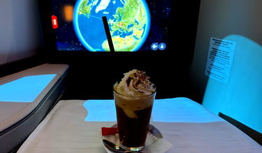 Review: Austrian Business Class Boeing 787 (VIE-IAD)