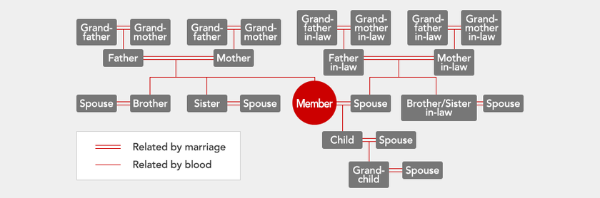 Table showing Japan Airlines Mileage Bank redemption restrictions for family members