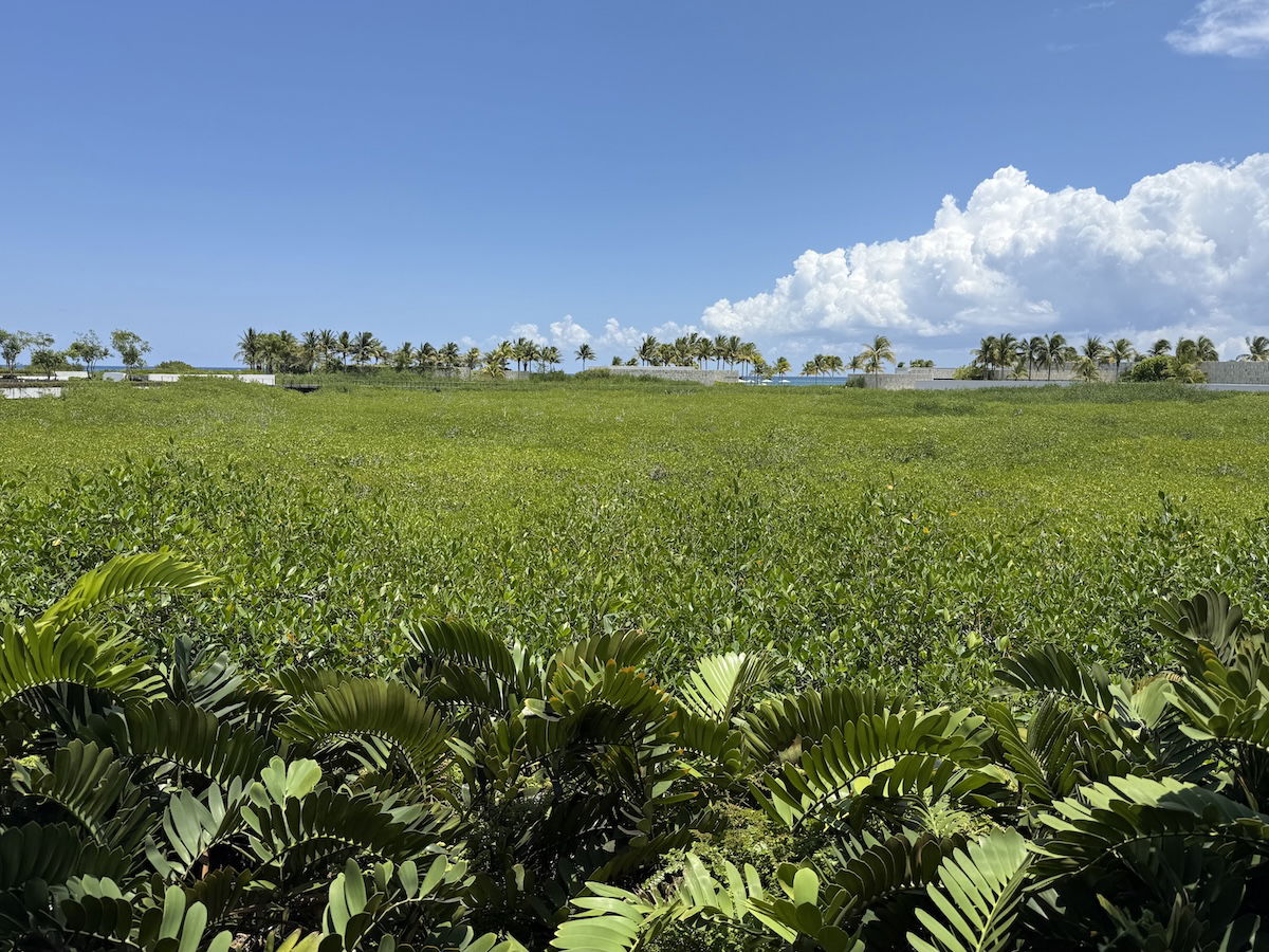 Visitax For Quintana Roo, Mexico: A Complicated “Obligatory” Price?