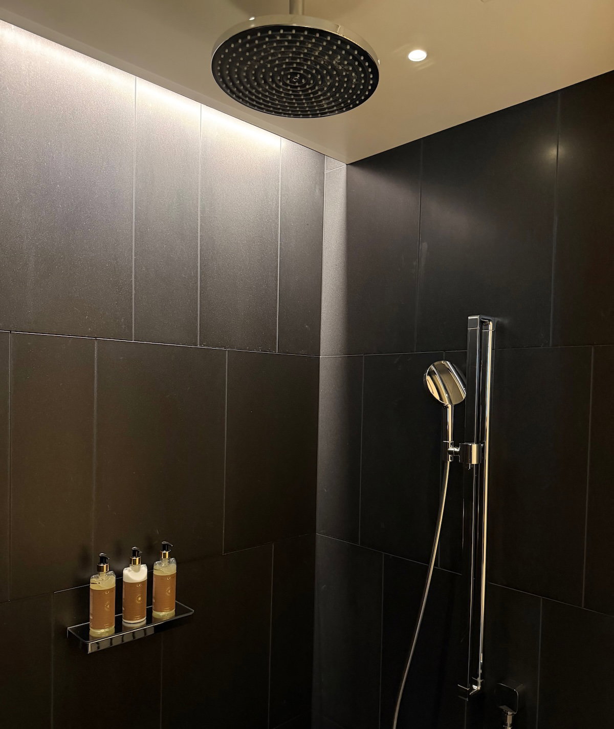Walk-in shower in the deluxe room bathroom