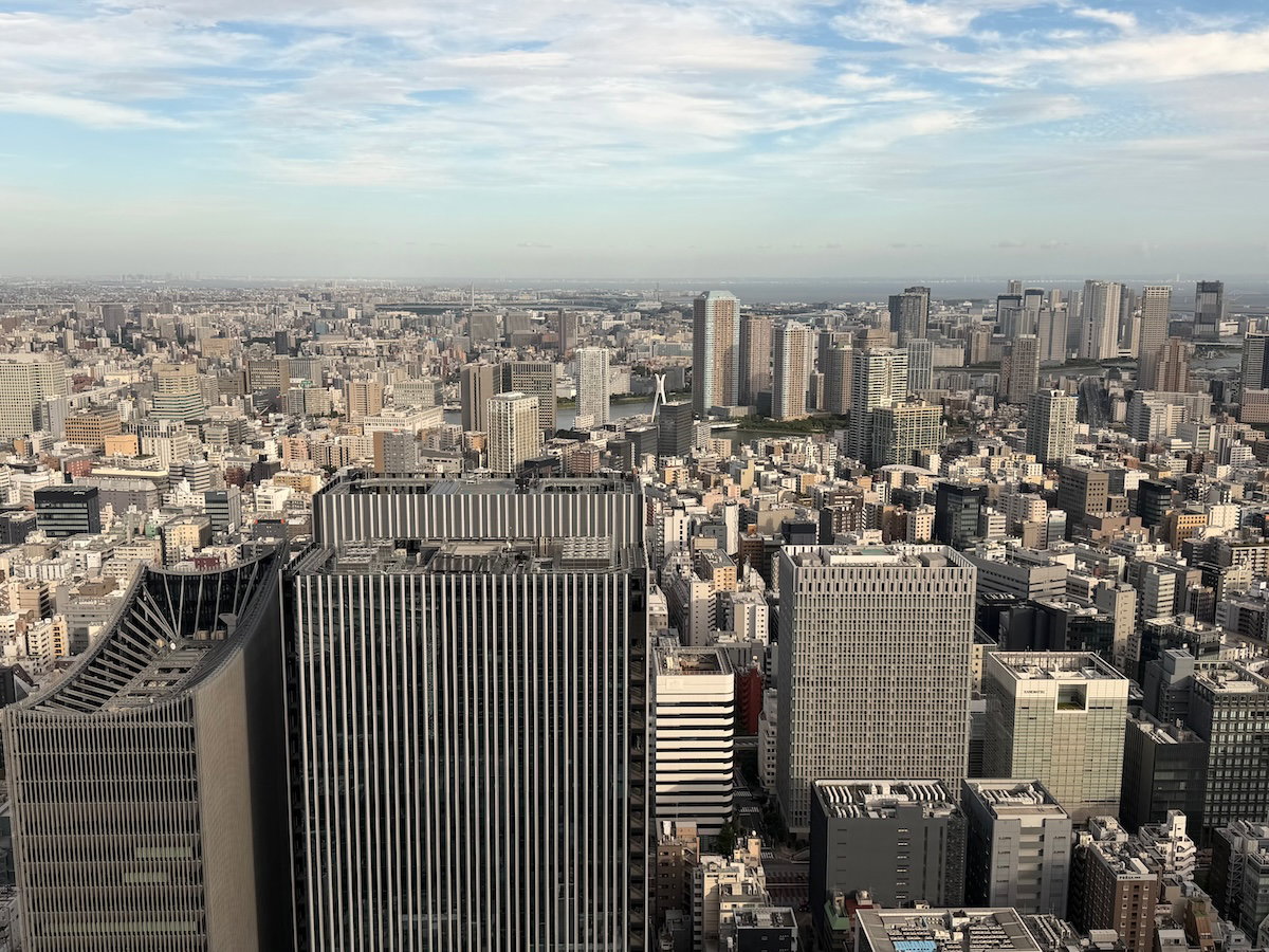 View of the Tokyo skyline from the deluxe room window