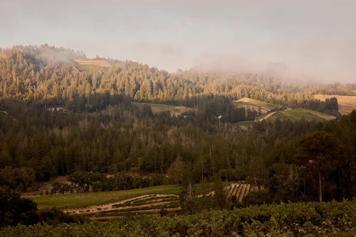 Post image 4